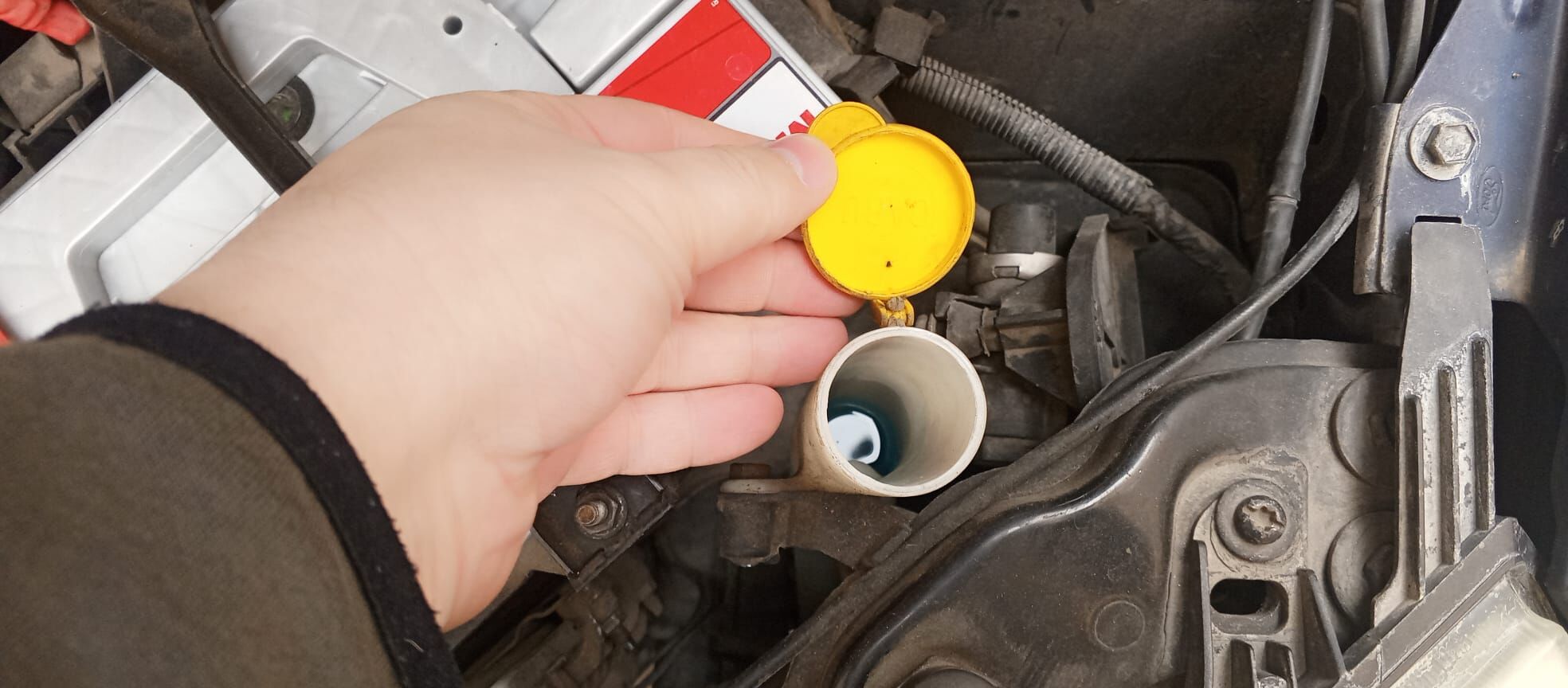 504E807C 4D7A 4Fe2 8065 Fbb75Affddf6