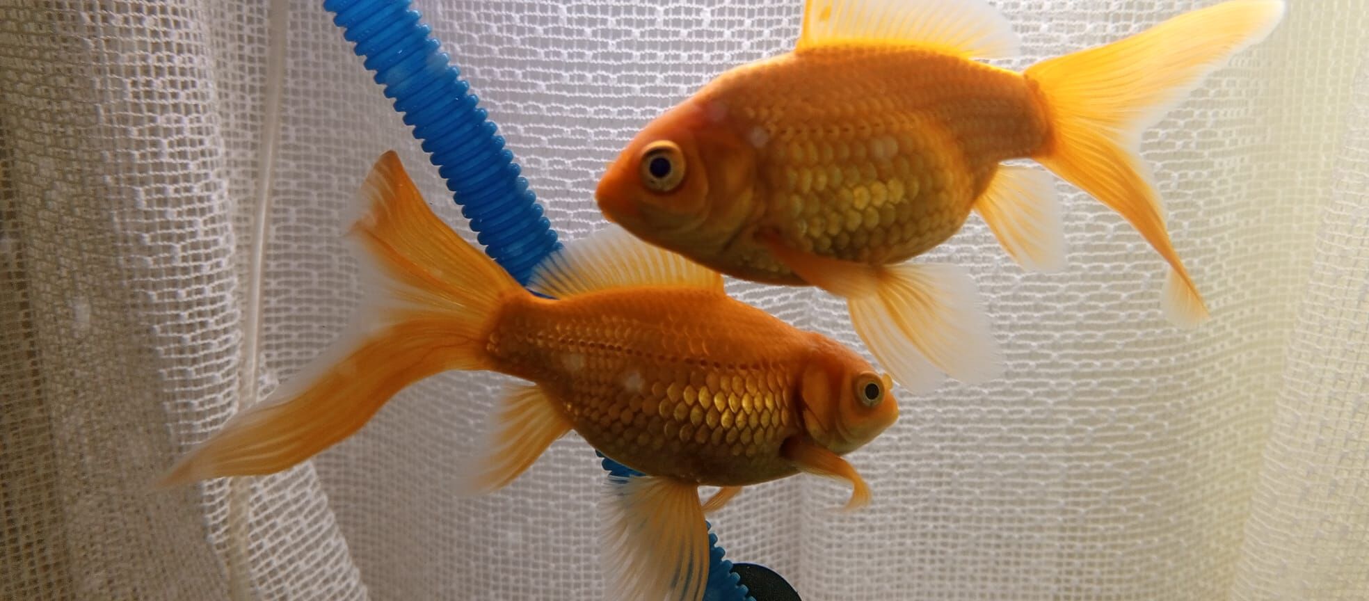 67A99C91 57Ea 46F6 8425 Da363Fe04D39