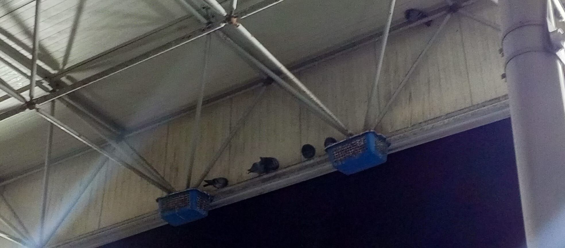 Ab336799 12A1 4900 9843 4905B11F7160