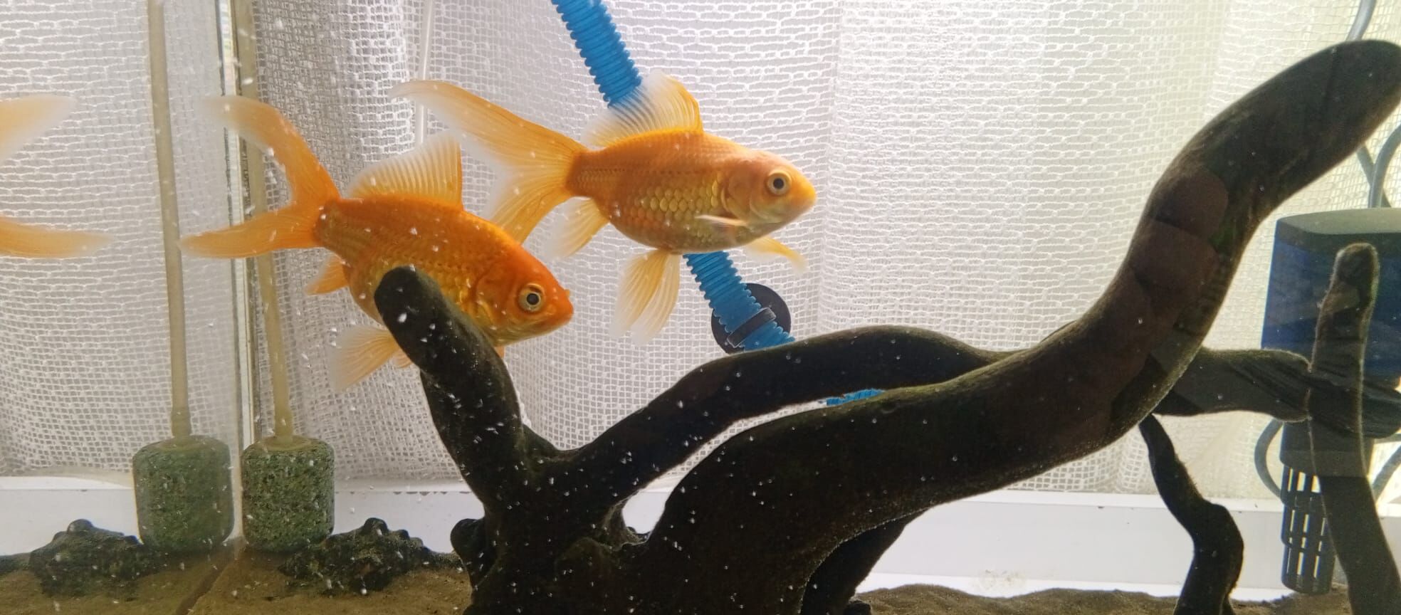 Bbcad954 5F0F 48Ec 87Fa C8E1Dac4607F