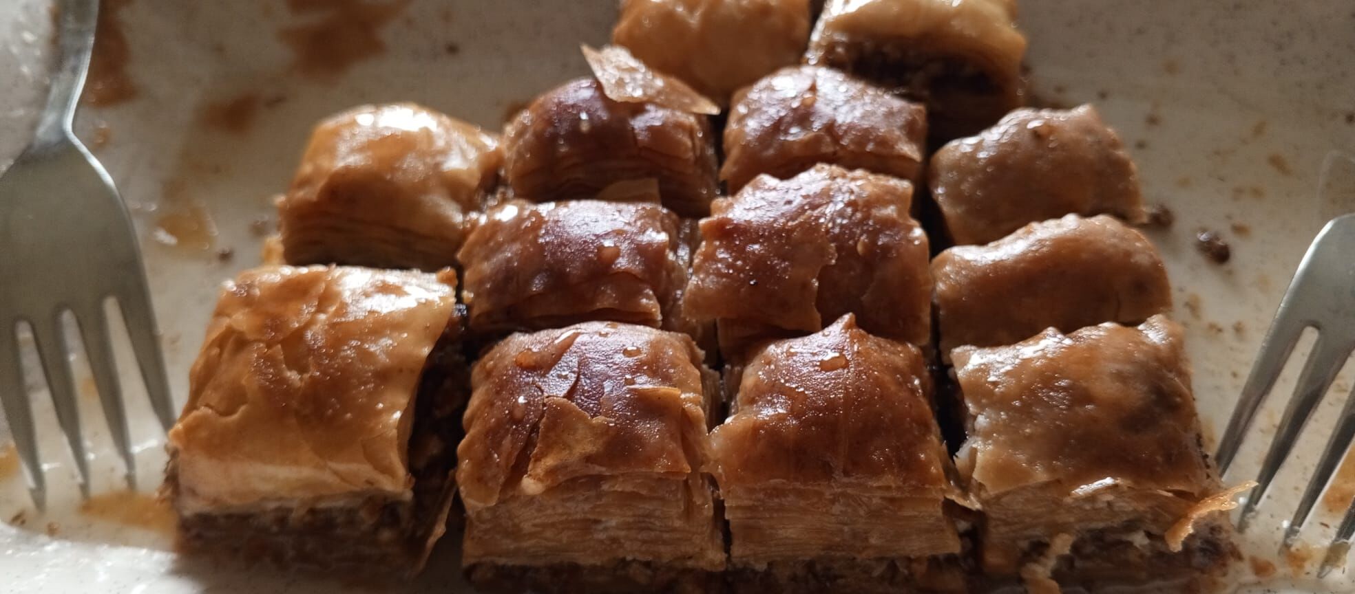 C5E8315D C227 40Ab 896C 0519C8Dad981