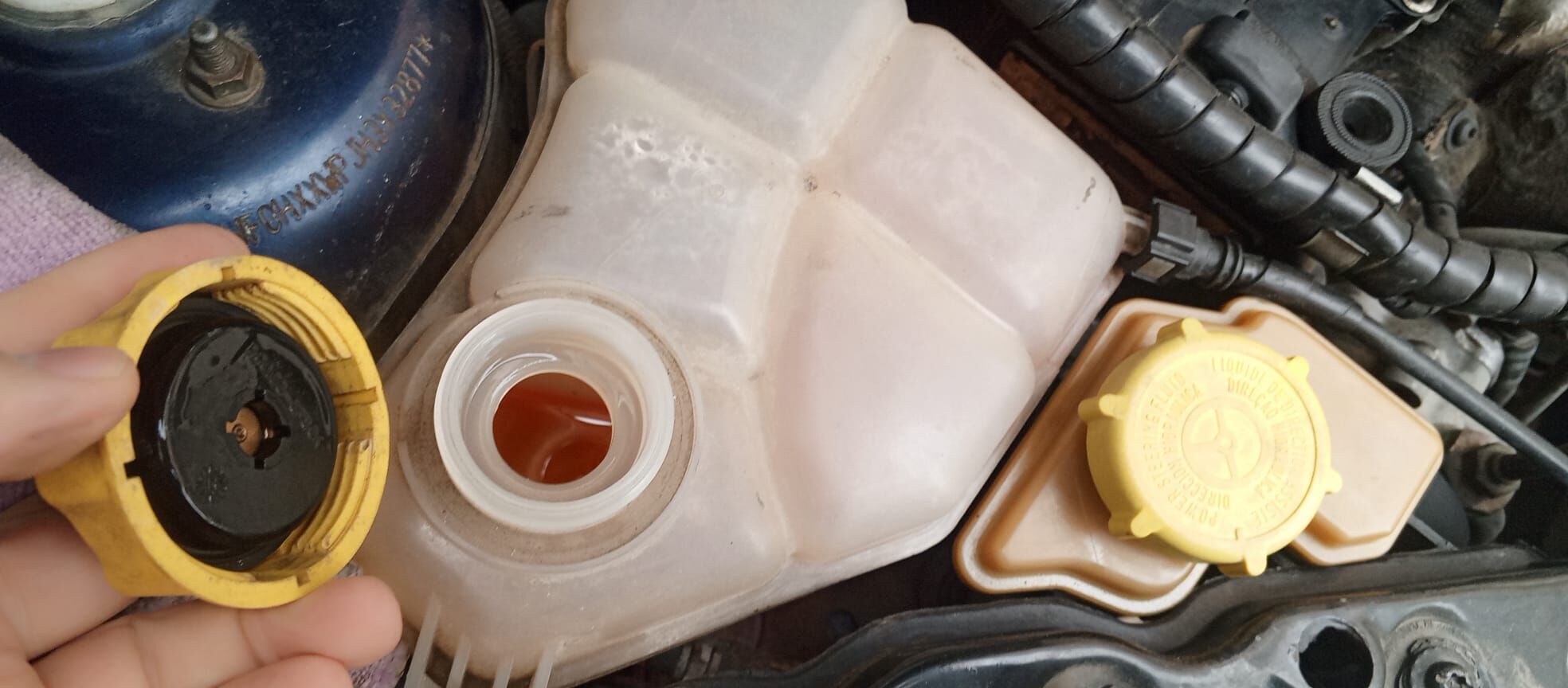 C6Dc83Cd 233F 4604 9250 2D5Badbeae6B