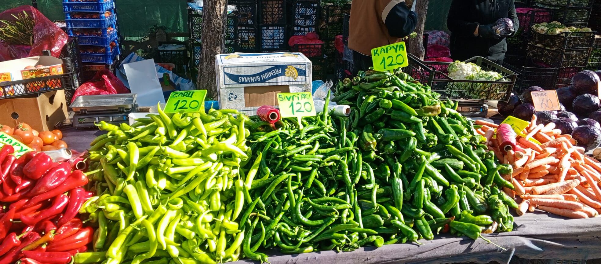 F9Fcb393 Fa60 452E A4E1 21A982B31C3C