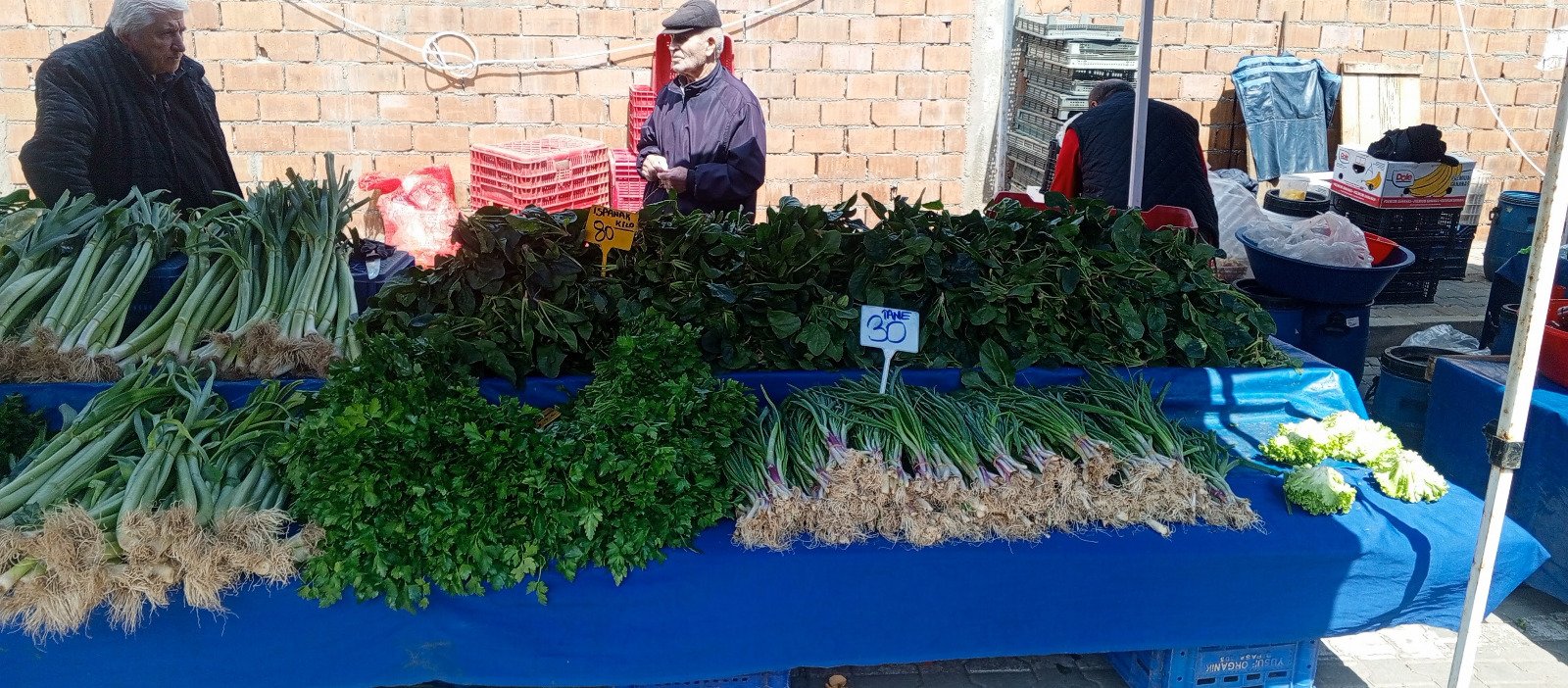 04Ccbbe8 6Cf5 42F9 8613 2618De0F2683