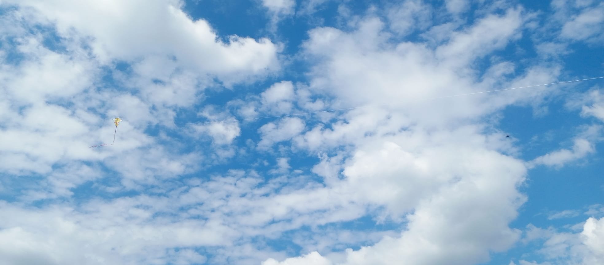 4Ca5E293 Bffd 4B7E 8Ef7 40619F76Ef93