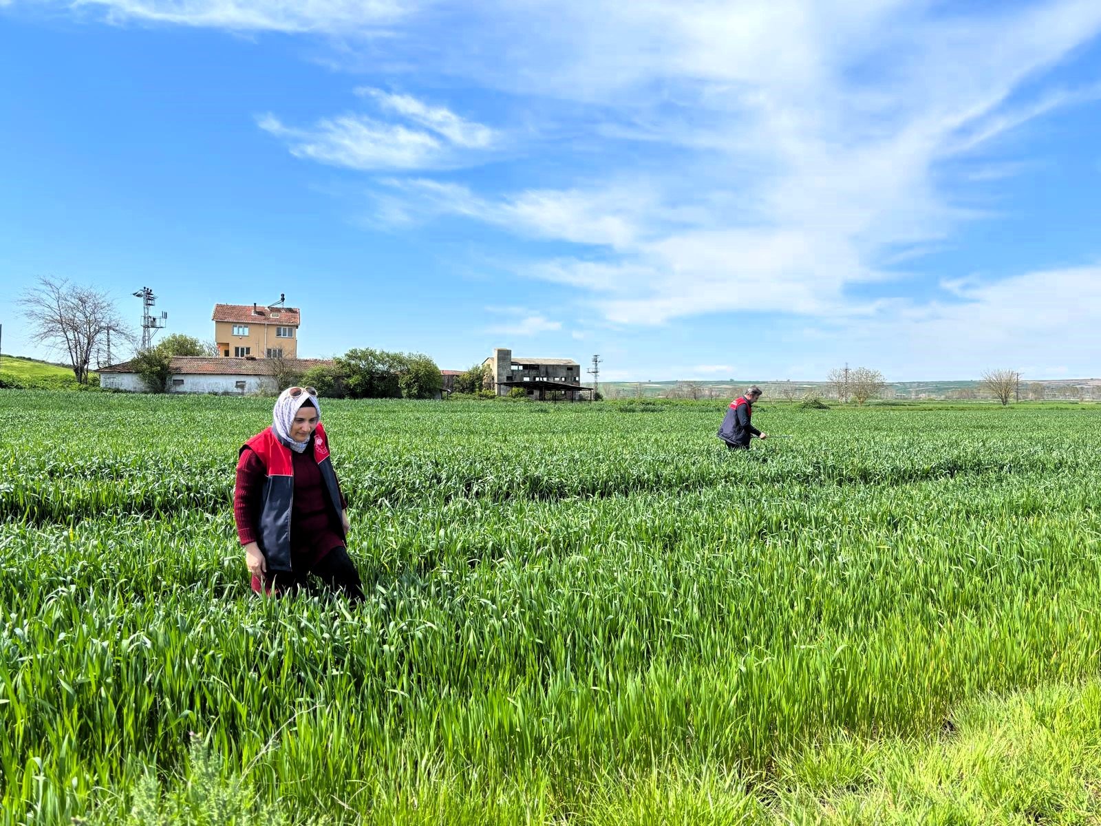 Kırklareli’nde Süne Sürveyi Çalışmaları Başladı