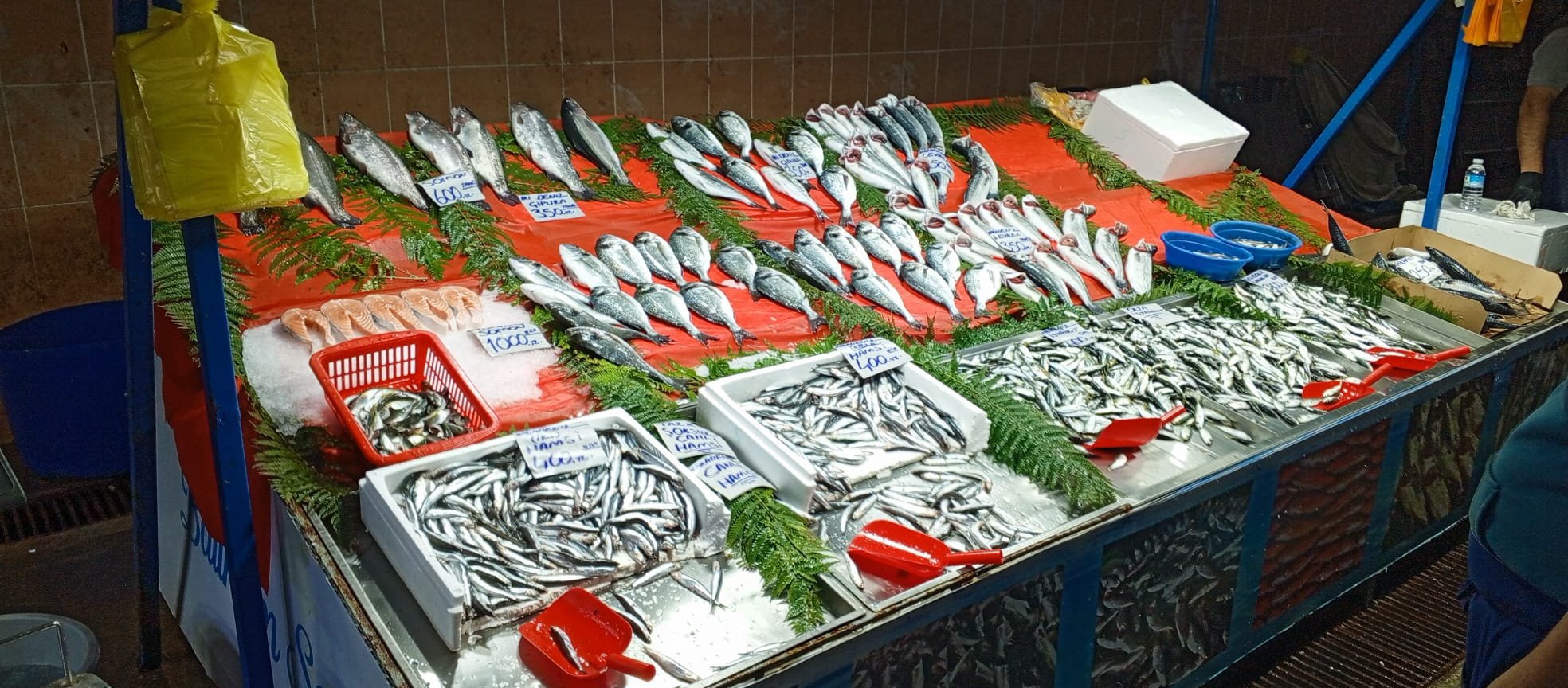 8A6C49Ec Bf3D 4836 943A 283Fff8B99E0