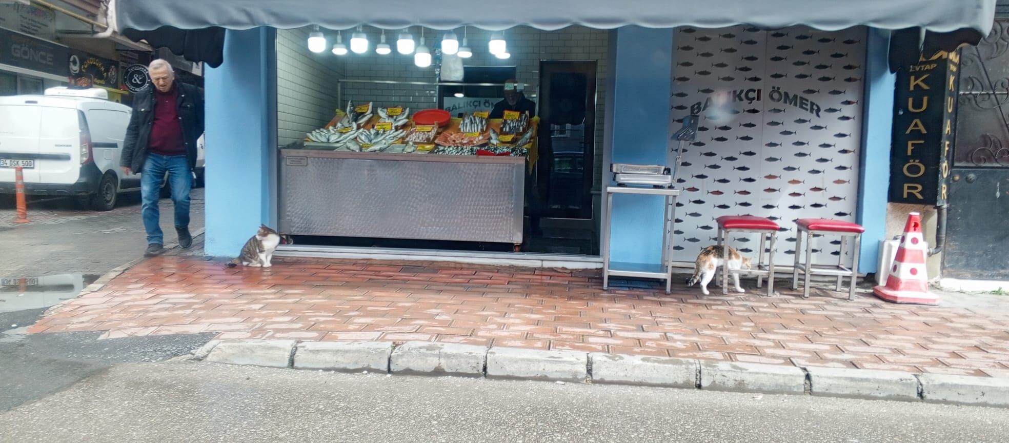 B6C1D96D 9Bac 4783 B864 1448158D45D0