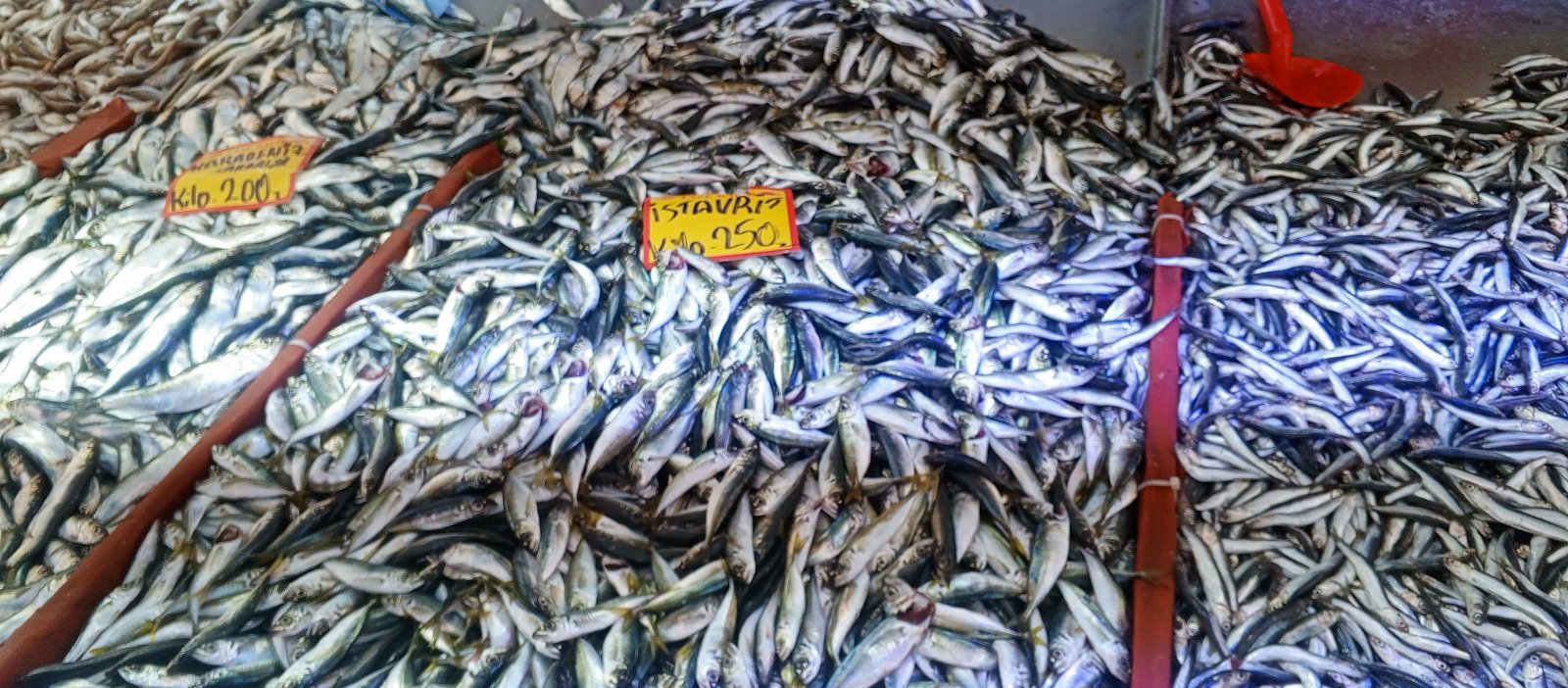 B9Cd23Ab 064C 43E4 B161 6002696Bf5D5