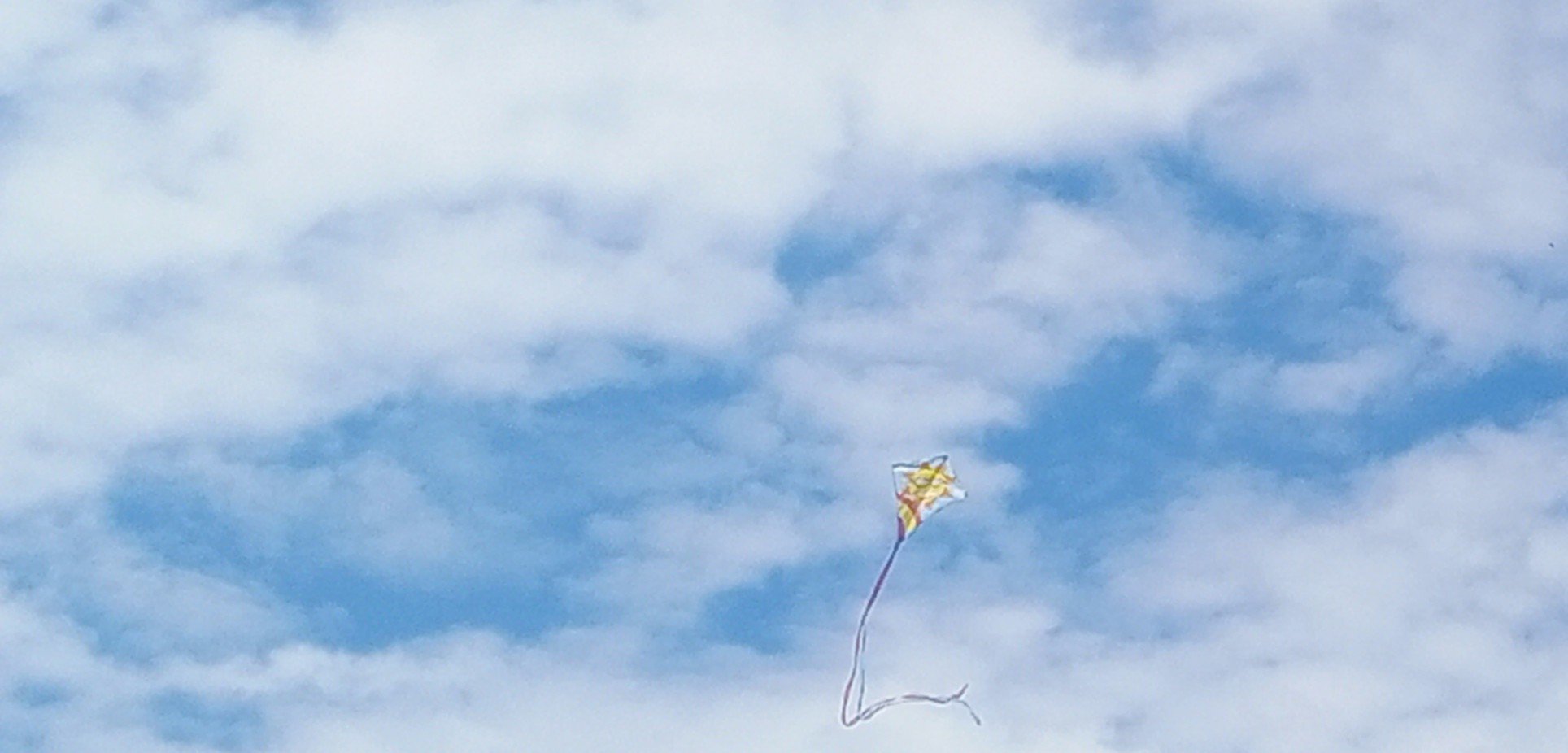 C025510C Cbd4 4452 Bf3A 0Fc3Ca2Efdfc