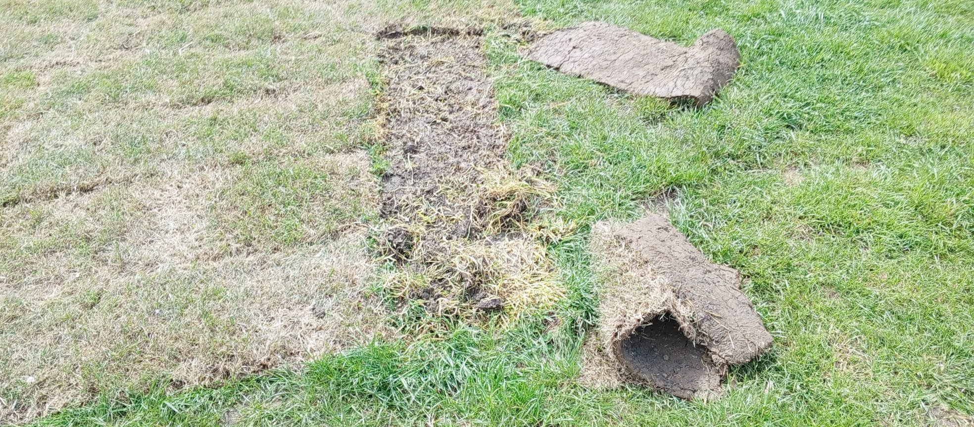 C601C5C3 5368 4Db8 B64A C8Fa05640470