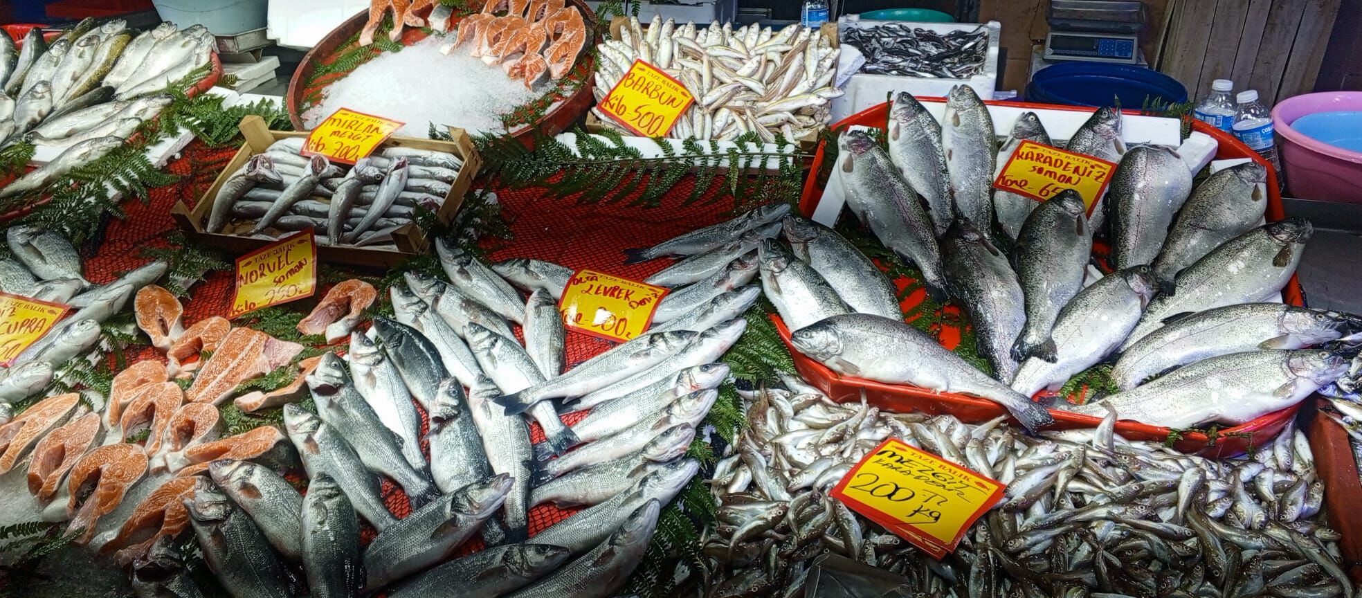 E1B9Cefa E4D7 47F4 B567 016C93Aadeaa