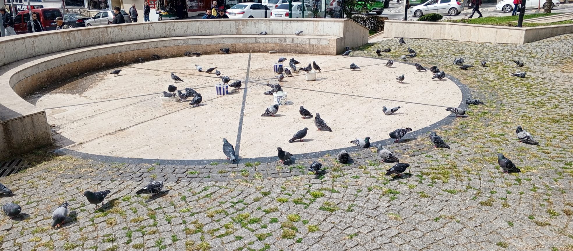 E54Ff46B 3A02 4De0 8D44 Dbc44Cd003B1