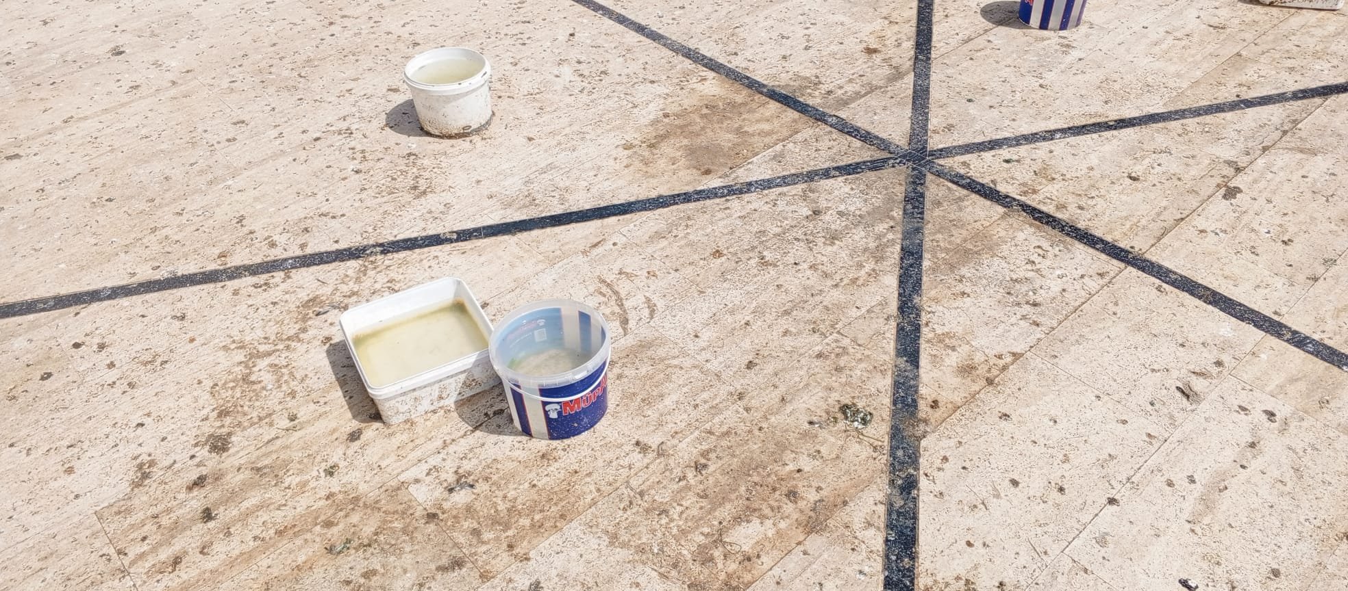 E66A3B5B 5642 4185 910F 8Ca934Aa5564