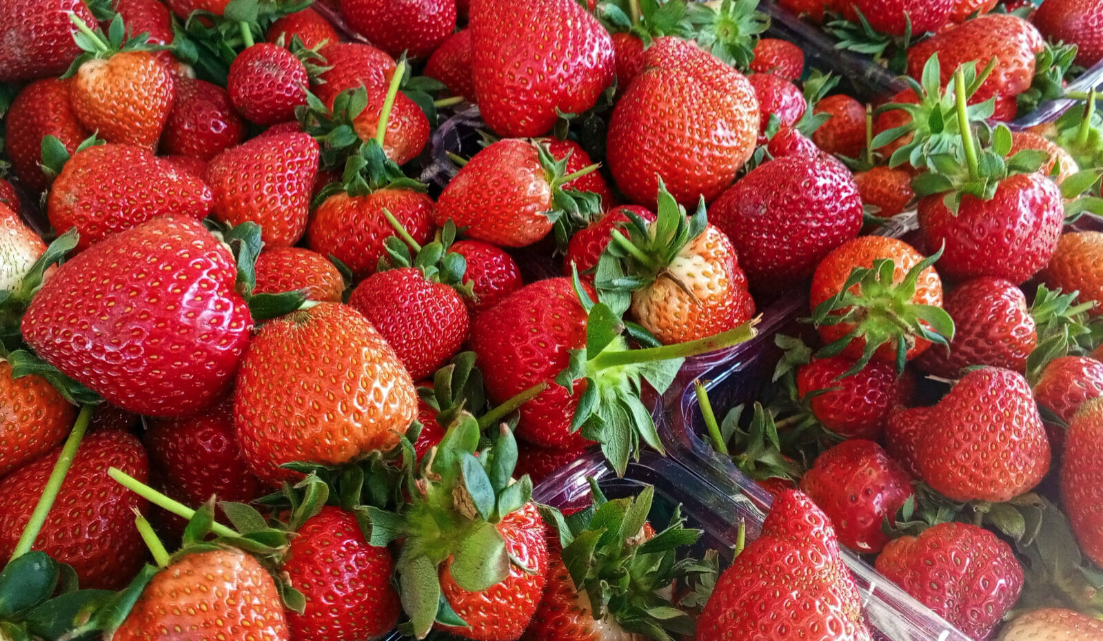 E69812B3 9C0E 4486 A1D3 A25B5459Bb42