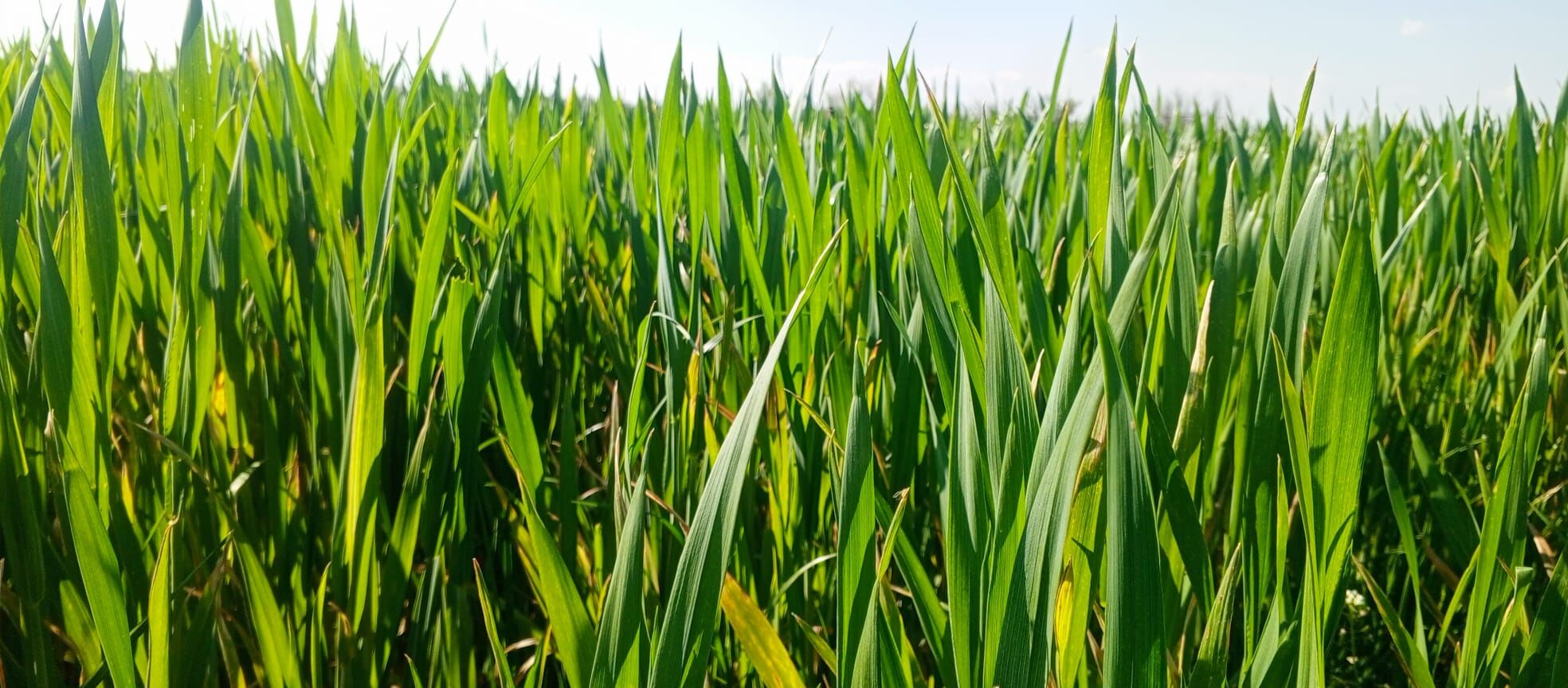 Ed9D22F9 C002 49C3 977D F97A23Cfae43