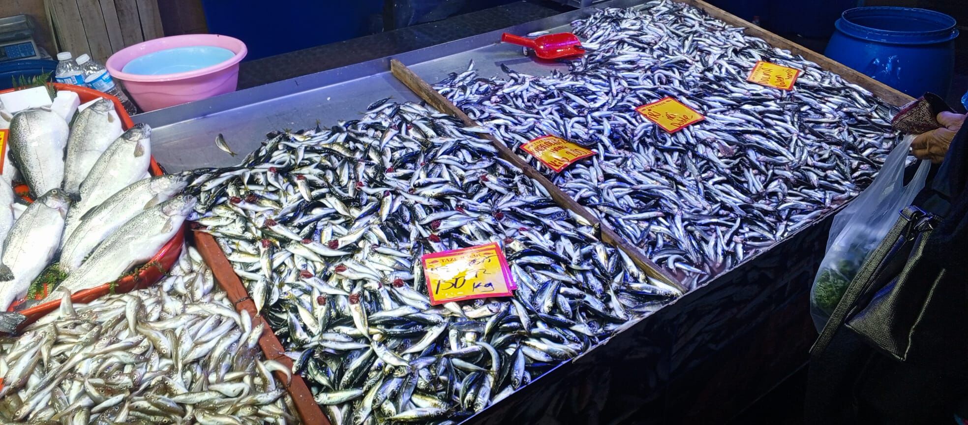 Fd49B1Ce 5A9F 4186 9832 A3A38881252C