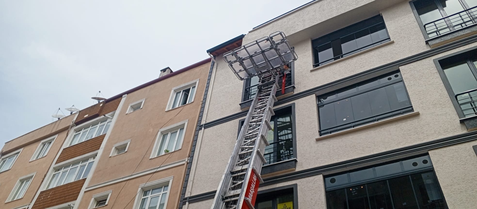 Fe75D65A A6Fb 4A8C A244 84C8778B29Be