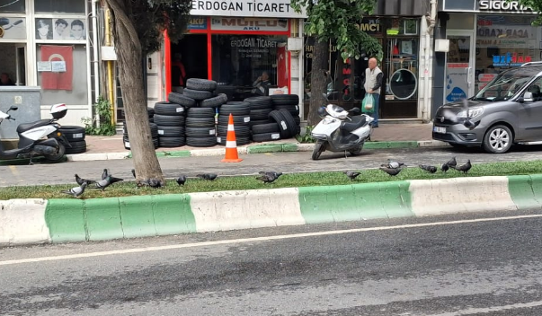 Güvercinler Şehir Manzarasına Renk Kattı