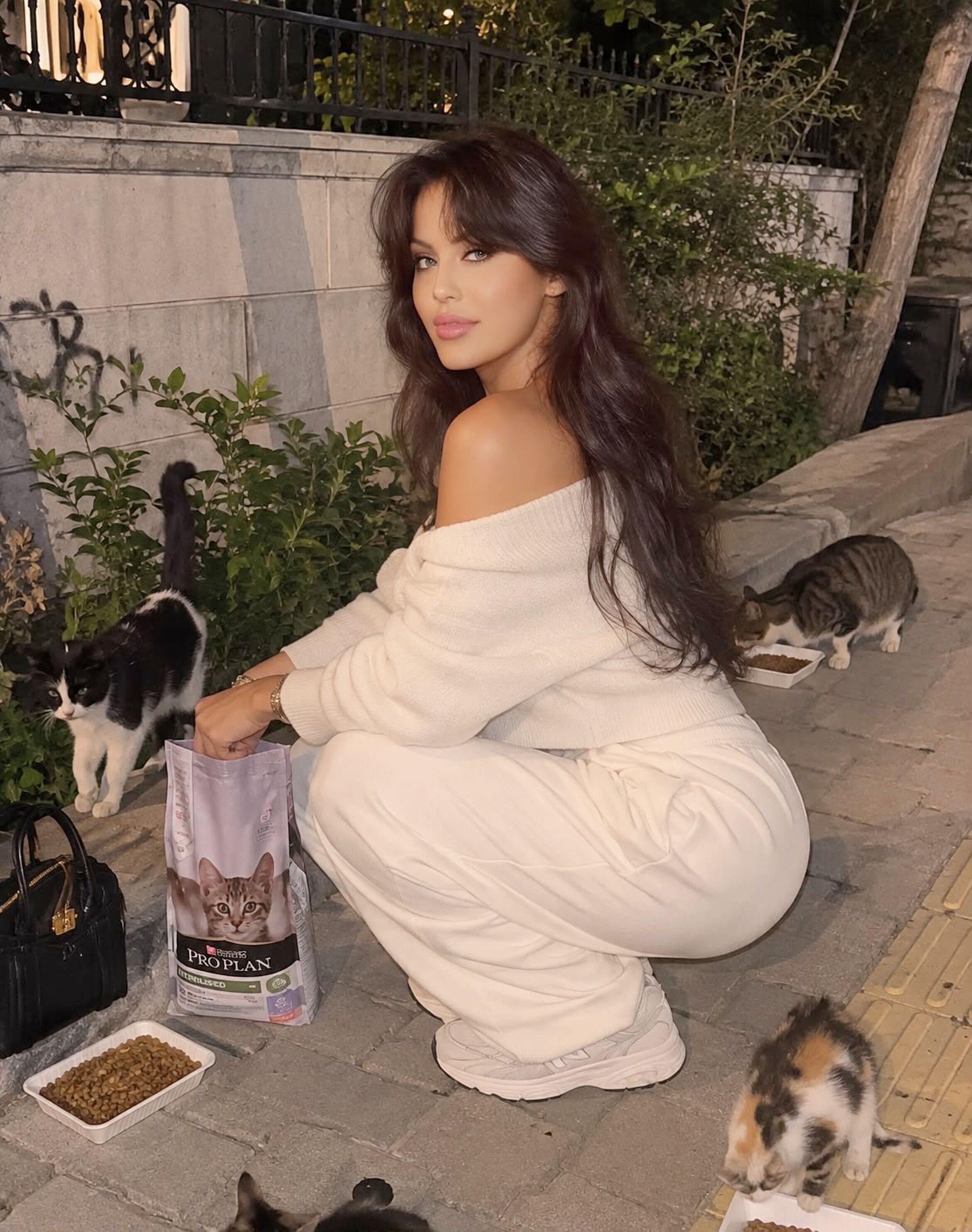 Mi̇chaela Astro Kedi̇ 1