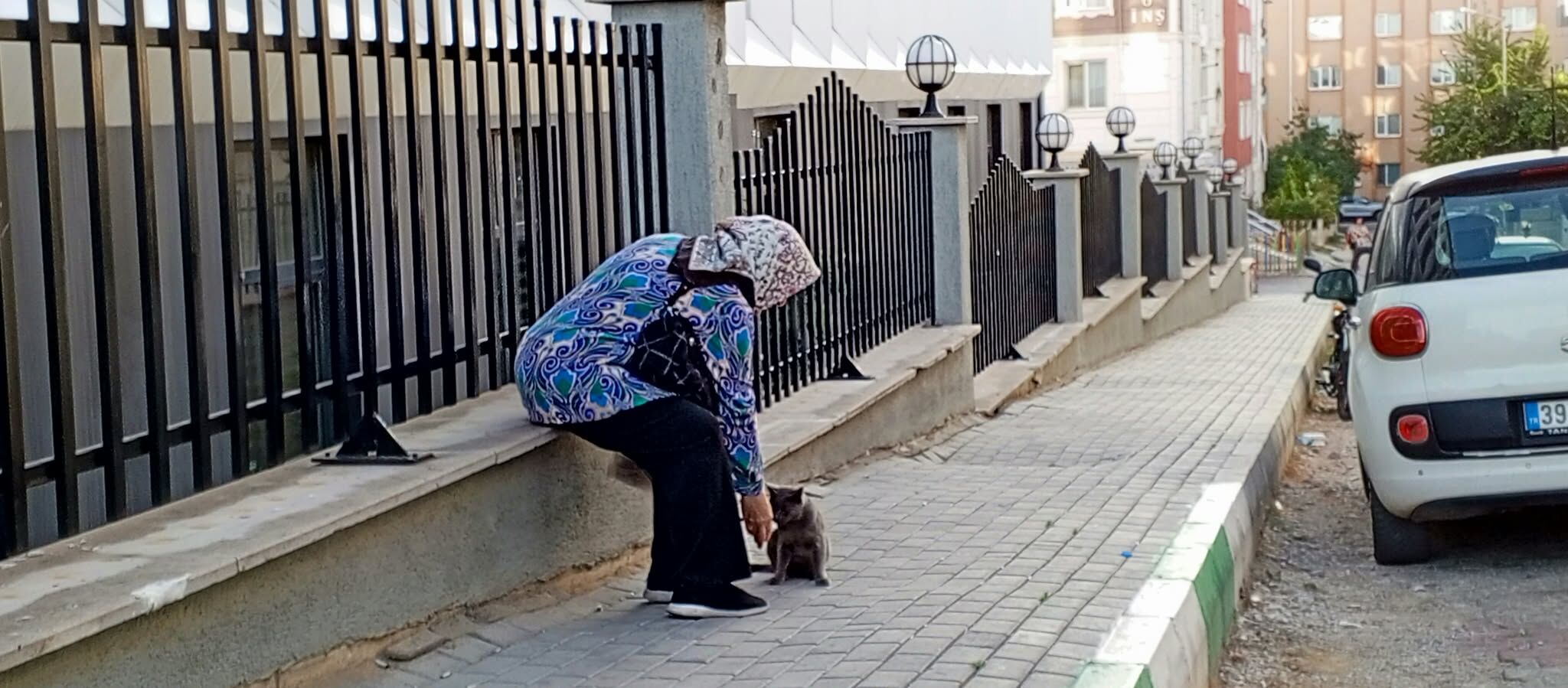 Kırklareli'nde Sokak Kedisini Besleyen Yaşlı Kadın Yürekleri Isıttı