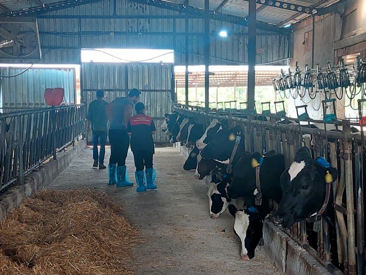Pınarhisar’da Hayvancılık İşletmelerine Düzenli Denetim