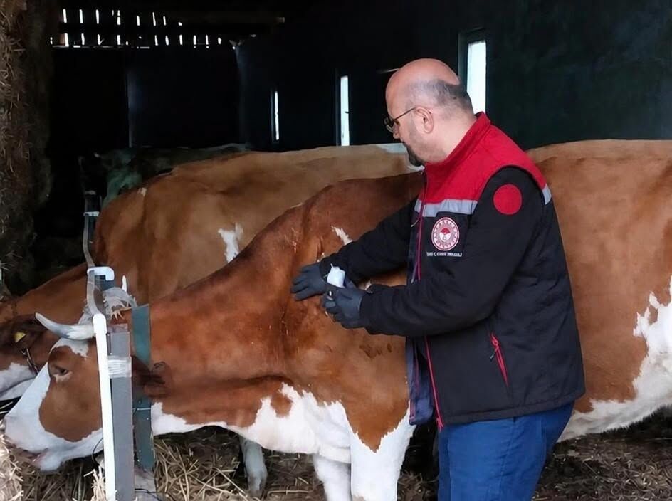 Demirköy’de Hayvancılık İşletmelerinde Aşılama ve Kontroller Sürüyor